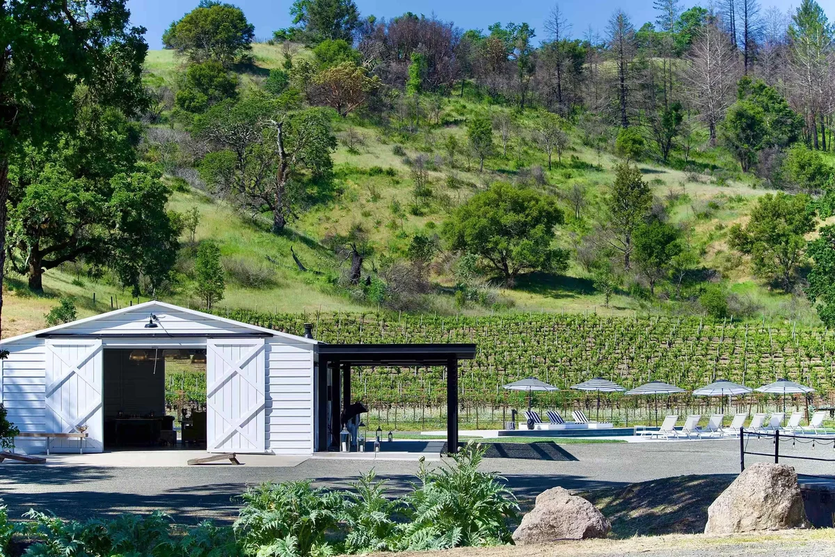 Ross Ranch and Vineyards property photo 3