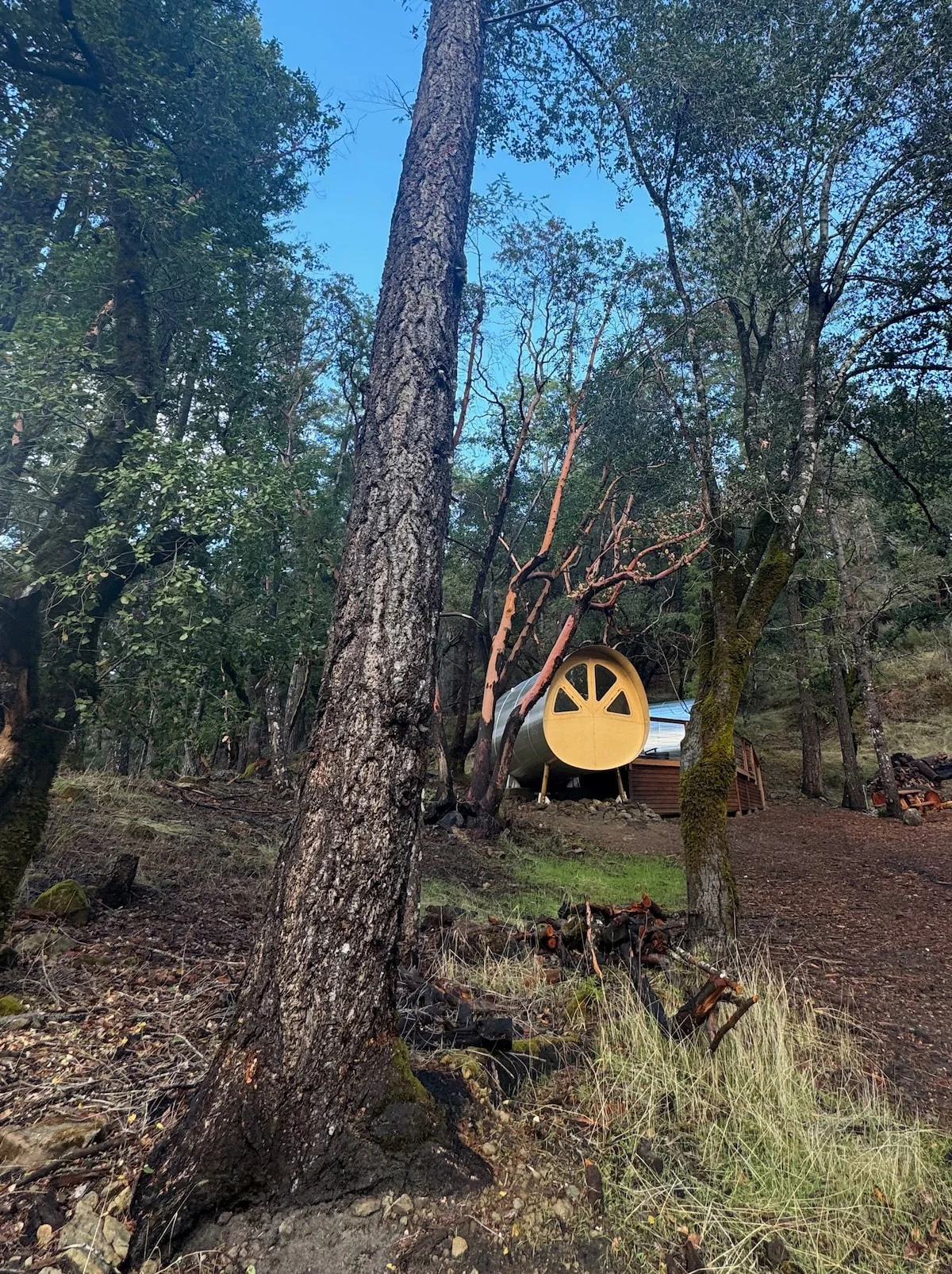 Luxe Glamping Cabin Near Big Basin State Park property photo 3