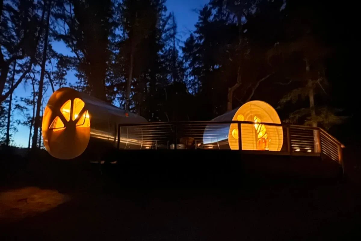Luxe Glamping Cabin Near Big Basin State Park property photo 4