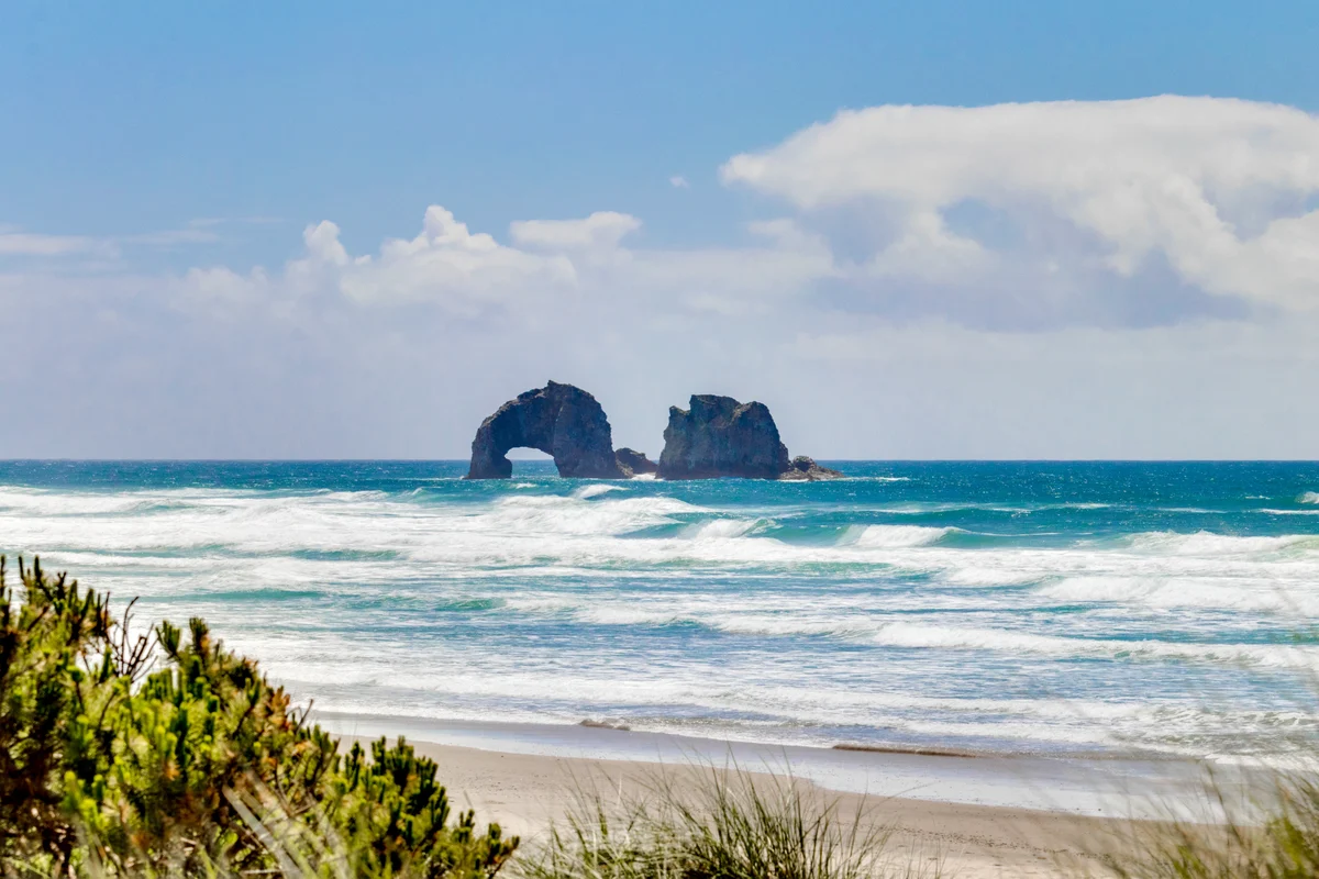Dog friendly home close to the beach with patio BBQ and WiFi property photo 2