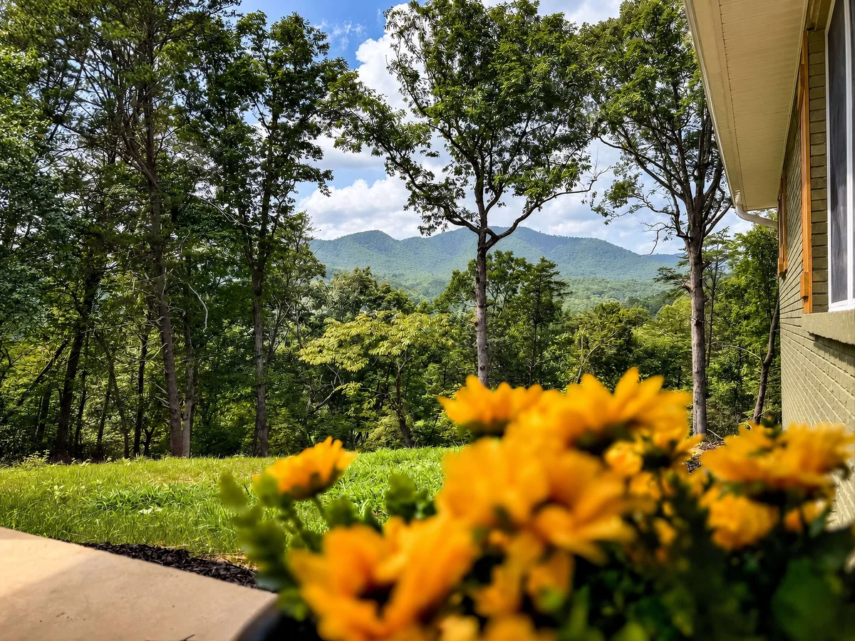 Deep Creek Mountain Retreat property photo 2