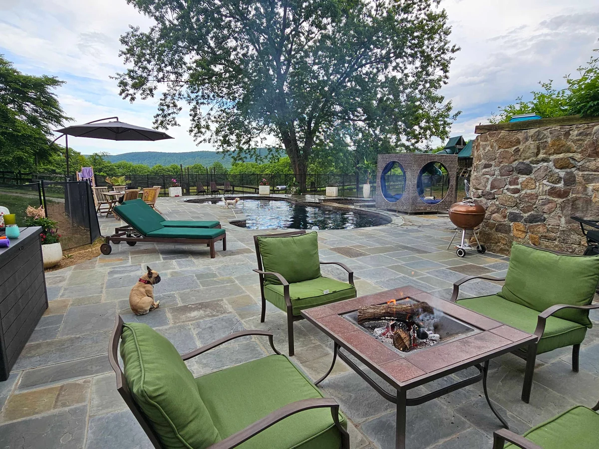 Vinewood Estate Luxury Pool and Vineyard Retreat property photo 3