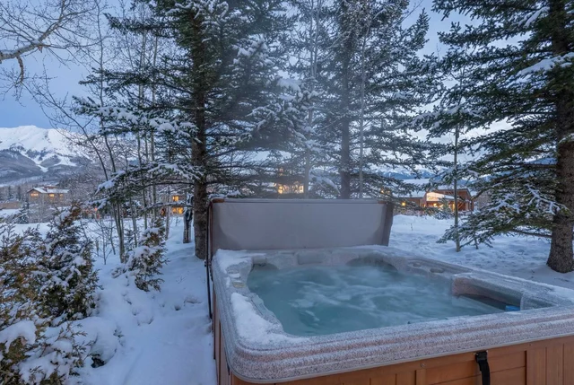 Telluride Slopes property photo 4