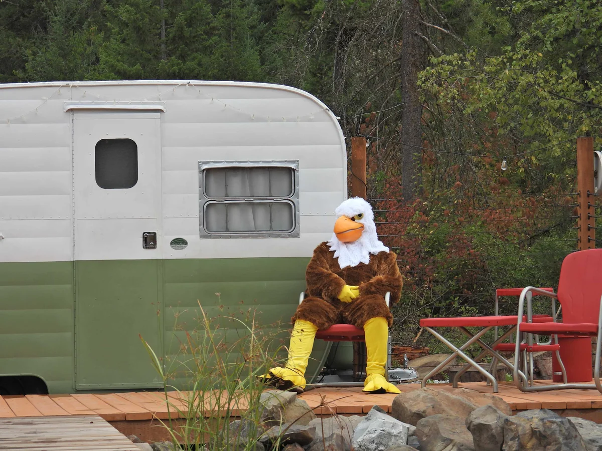 Eagles Nest Cozy Dome, Hot Tub & Woodland Retreat property photo 5