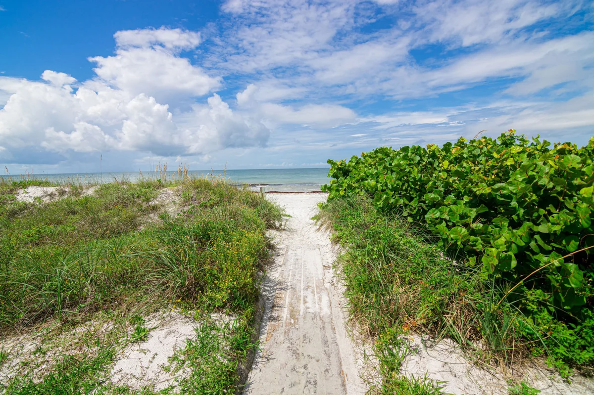 The Siren's Song - Steps from the beach, Direct Ocean Views property photo 5