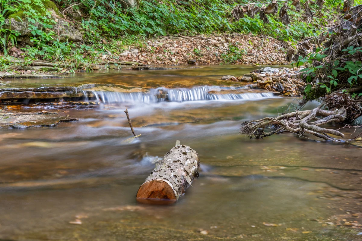Brushy Creek 2 - Millie's Mermaid Cottage property photo 2