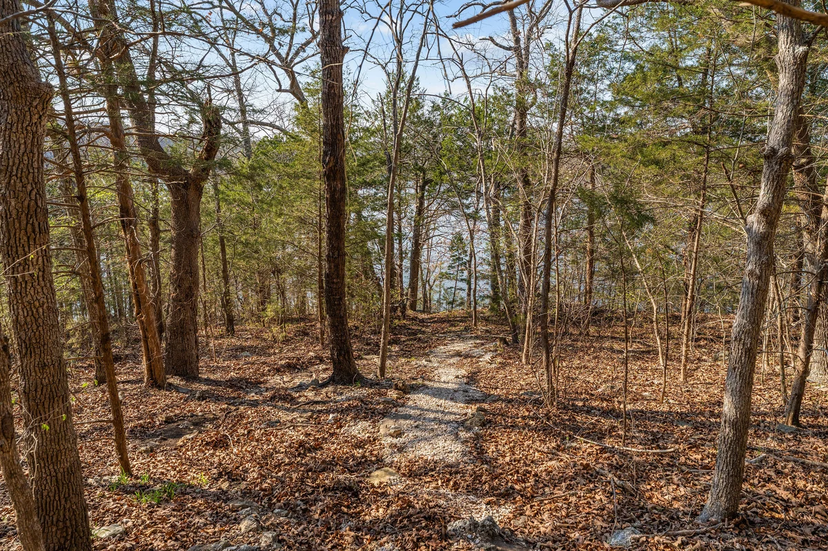 Newton Lake Lodge property photo 5