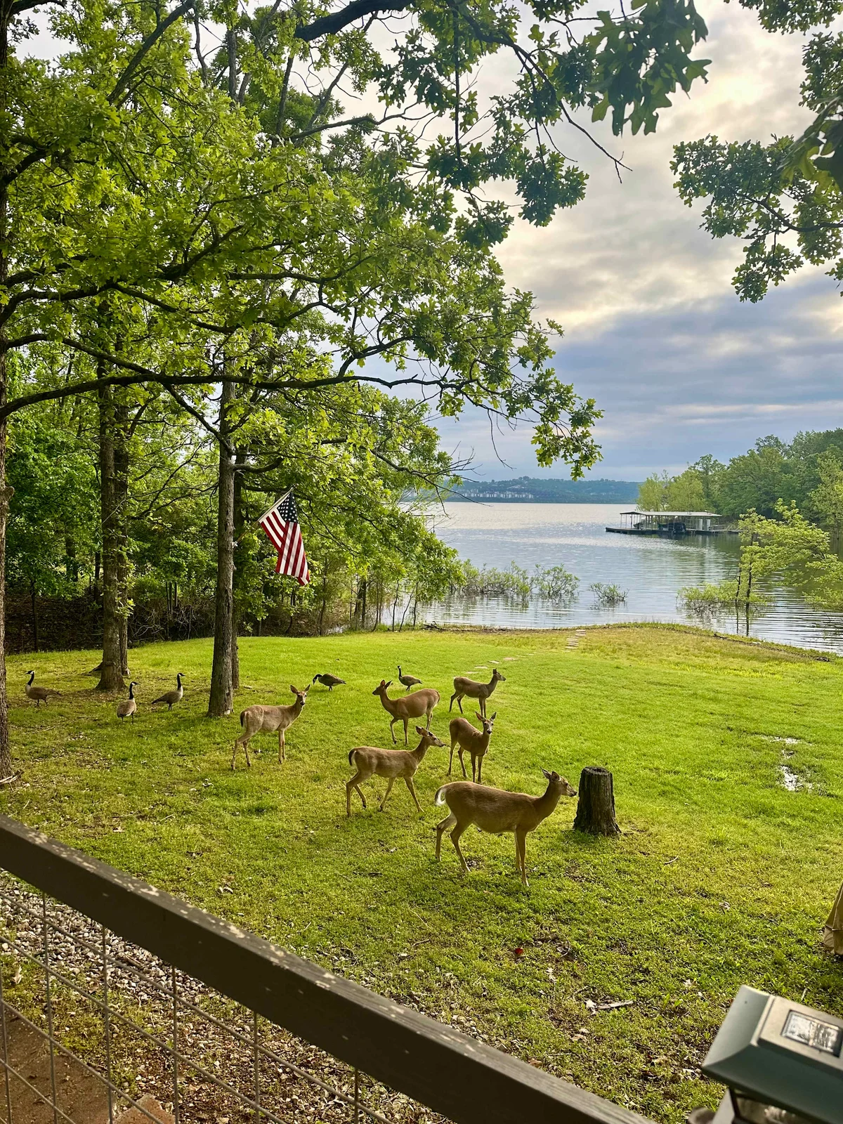 Scenic Cove Lake Front Lodge property photo 1