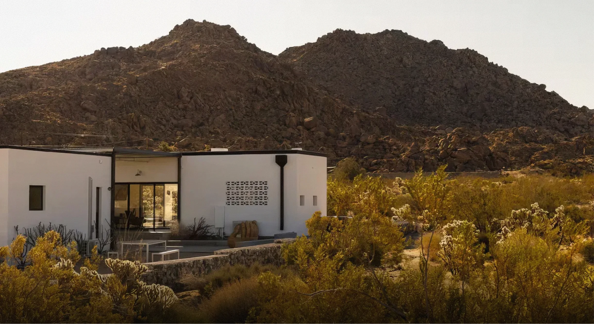 Wander Joshua Tree Terra